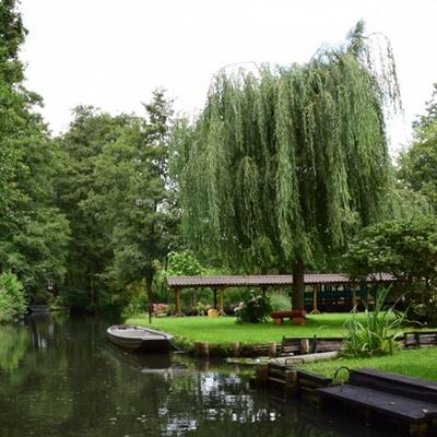 KOKapp下载手机版